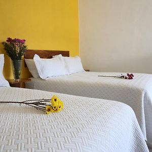 Habitación con Cama King